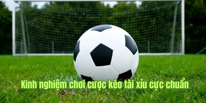 Soi cược Châu Âu hỗ trợ chiến thắng lên tới 99%
